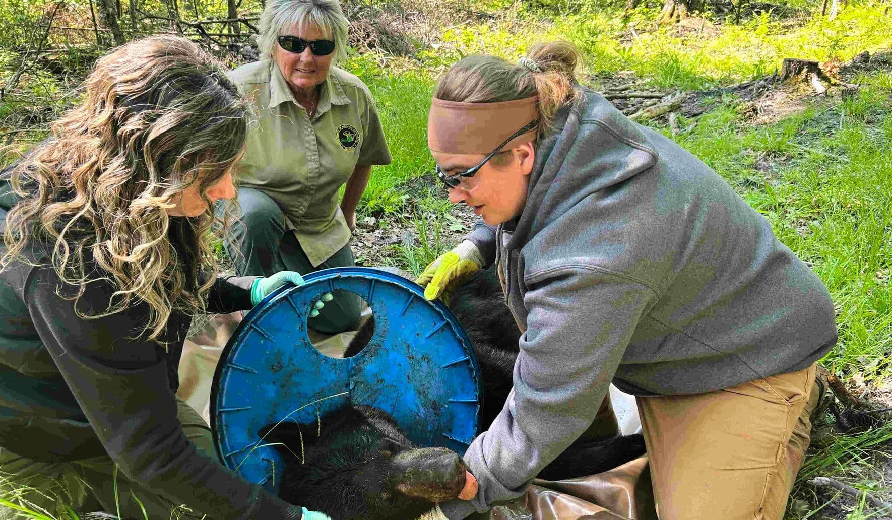 Fact Check: Experts puzzled how the lid got stuck; bear baiting regulations may be involved.