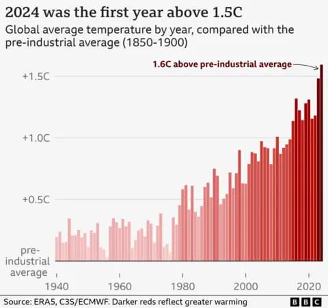 Fact Check: 2024 was the hottest year on record, hitting 1.5C for the first time!