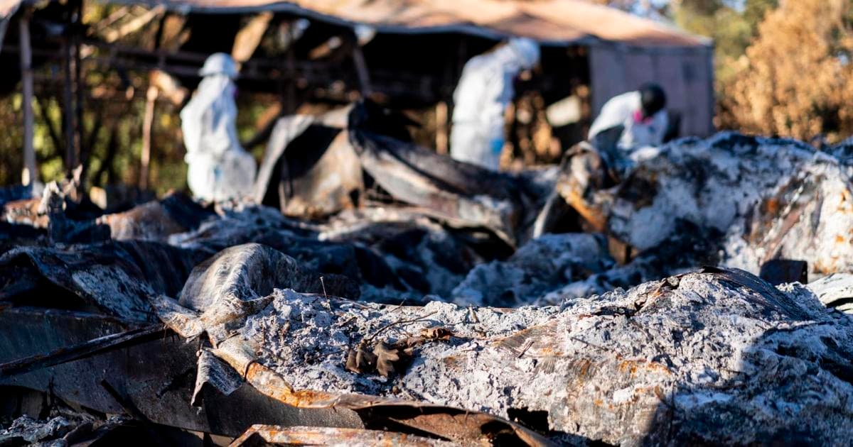 Fact Check: EPA plans to reverse asbestos ban, risking 40,000 annual cancer deaths.