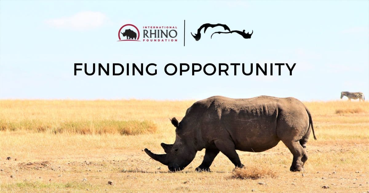 Fact Check: International Rhino Foundation faces projected losses of $1 million annually due to funding freeze.