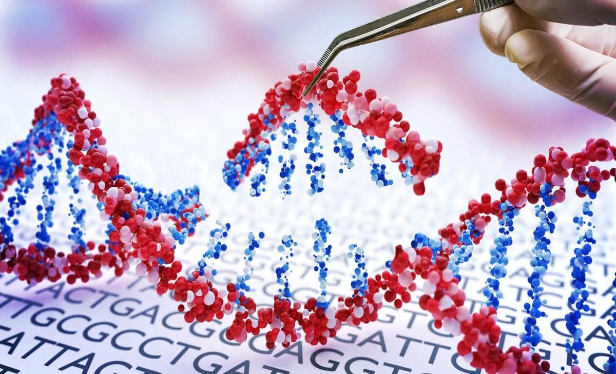 Fact Check: CRISPR can remove an entire chromosome, not just small fixes.