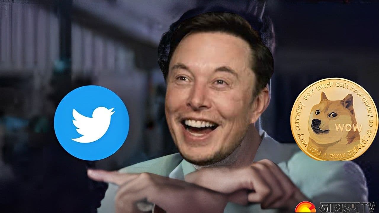 Fact Check: Elon Musk and DOGE are finding fraud