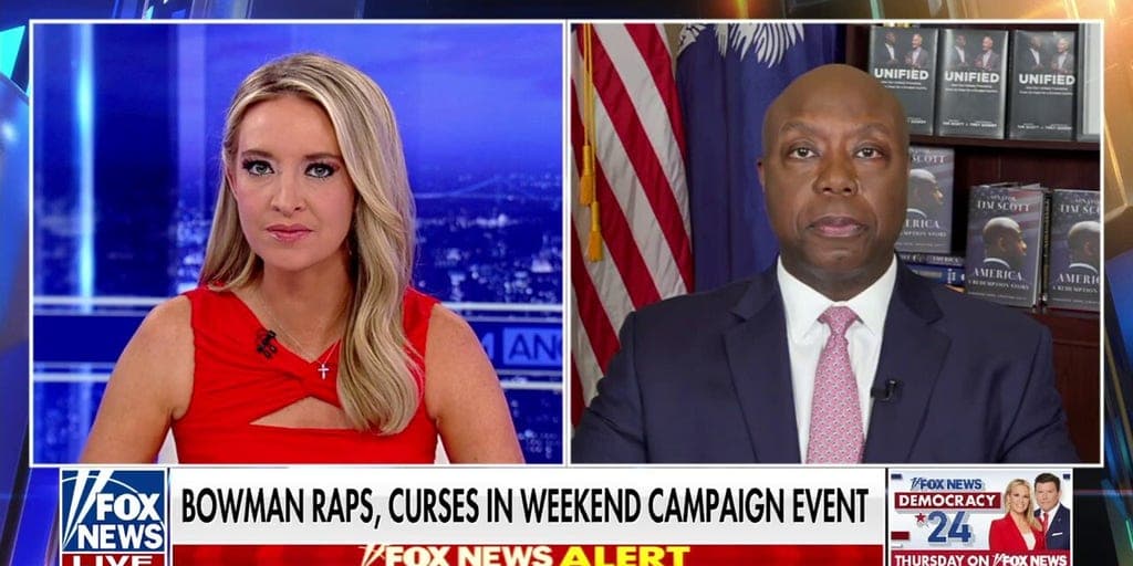 Fact Check: Democrats risk losing voters as political junkies dominate their party.