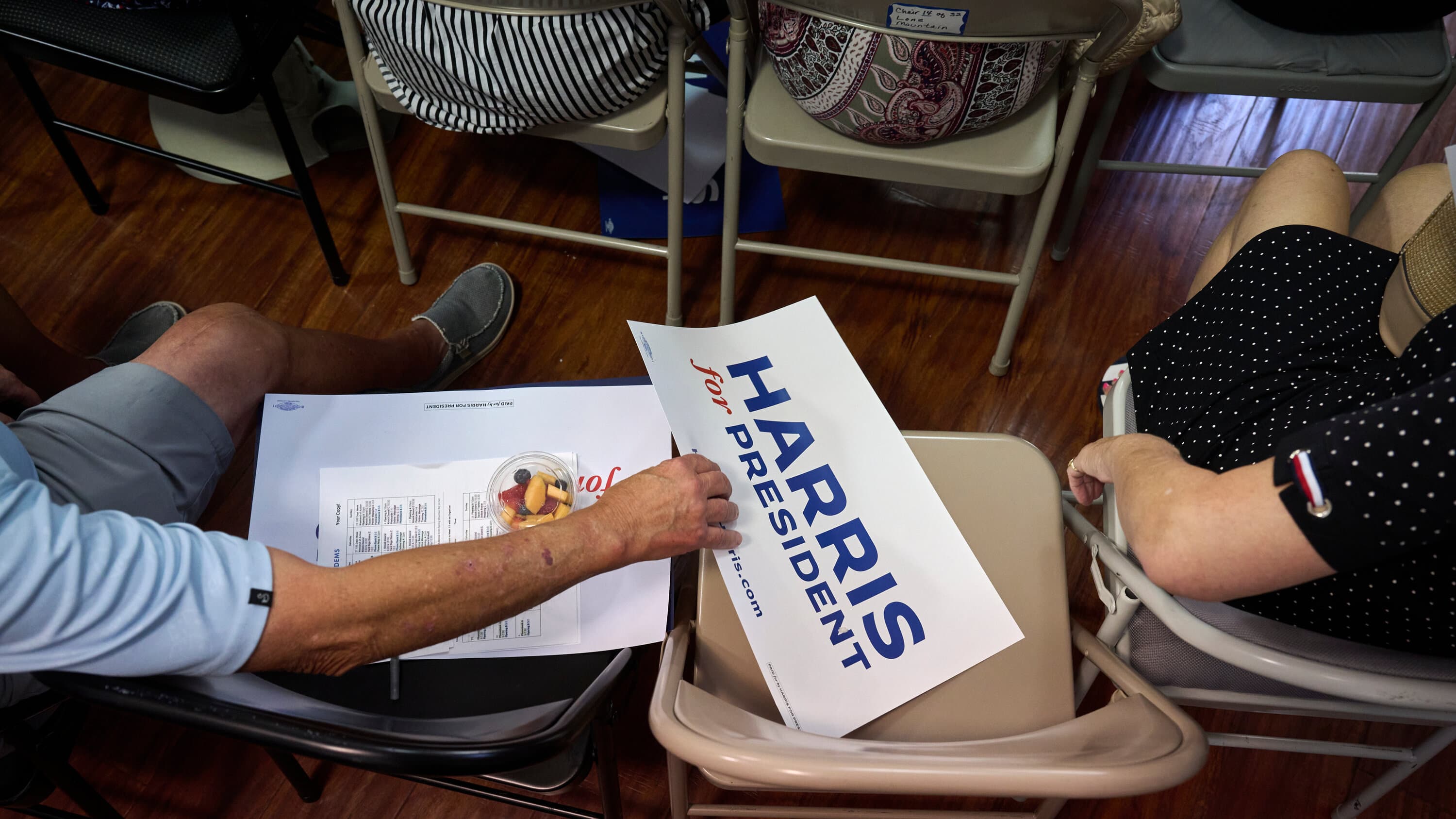 Fact Check: Democrats must embrace hobbies to win back disengaged voters.