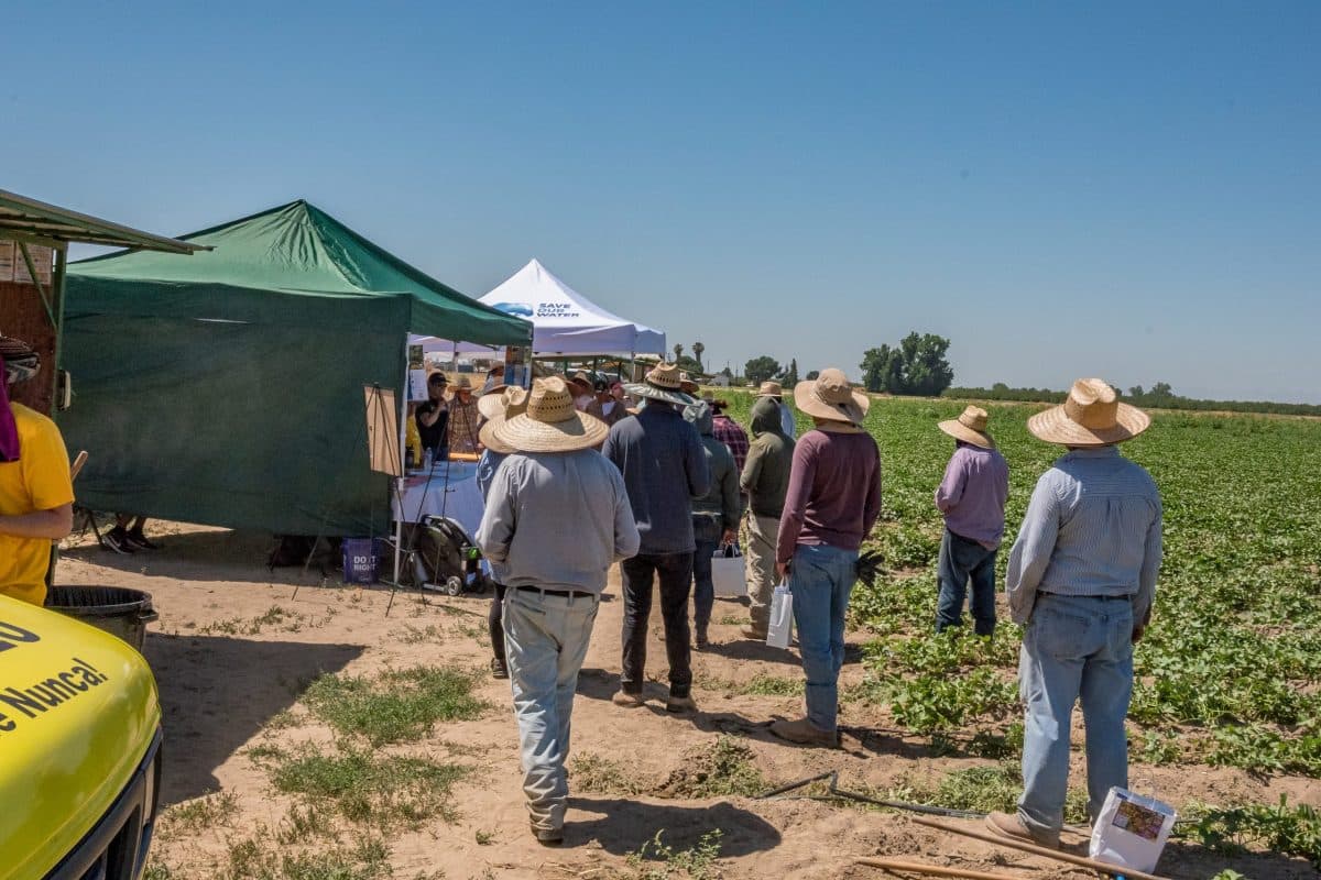 Fact Check: California's immigrant population includes 2.28 million undocumented workers.