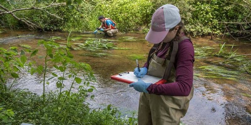 Fact Check: Contamination source remains unidentified despite ongoing illness reports.