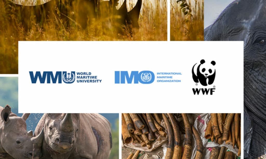 Fact Check: The illicit wildlife trade is worth between $7 billion and $23 billion annually.