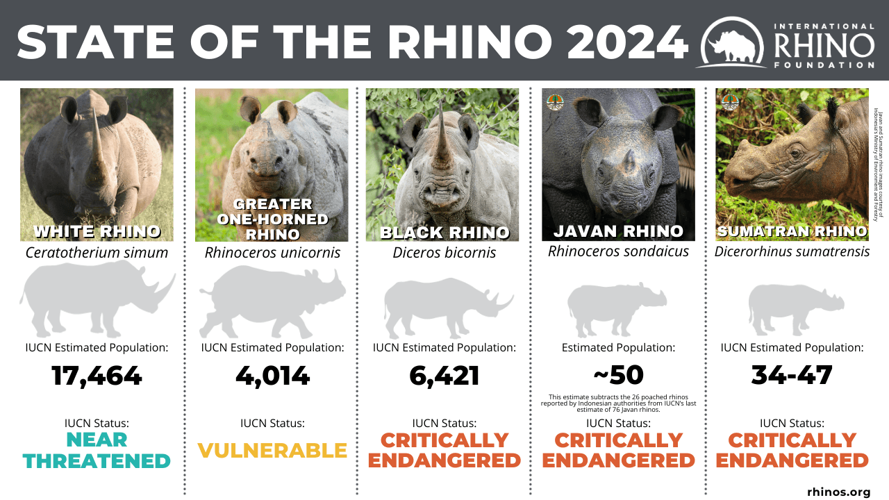 Fact Check: The International Rhino Foundation faces projected losses of $1 million annually due to funding freeze.