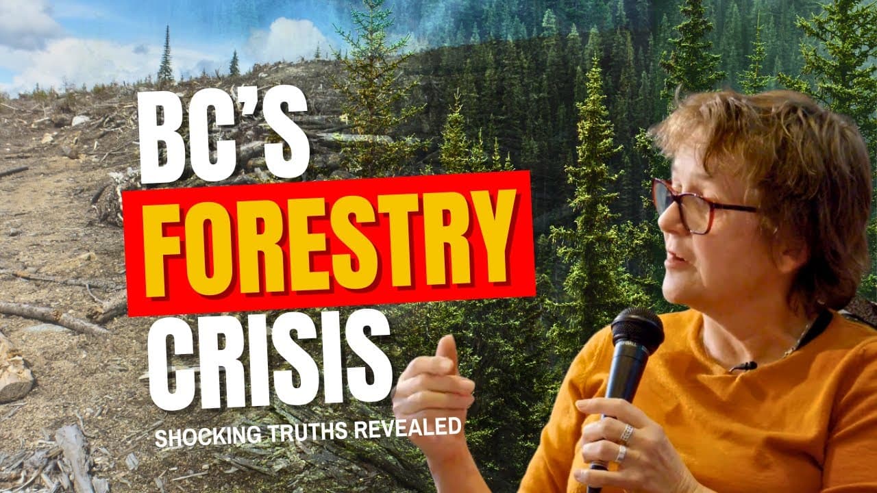 Fact Check: Scientists reveal shocking truths about logging's effects on wildlife.