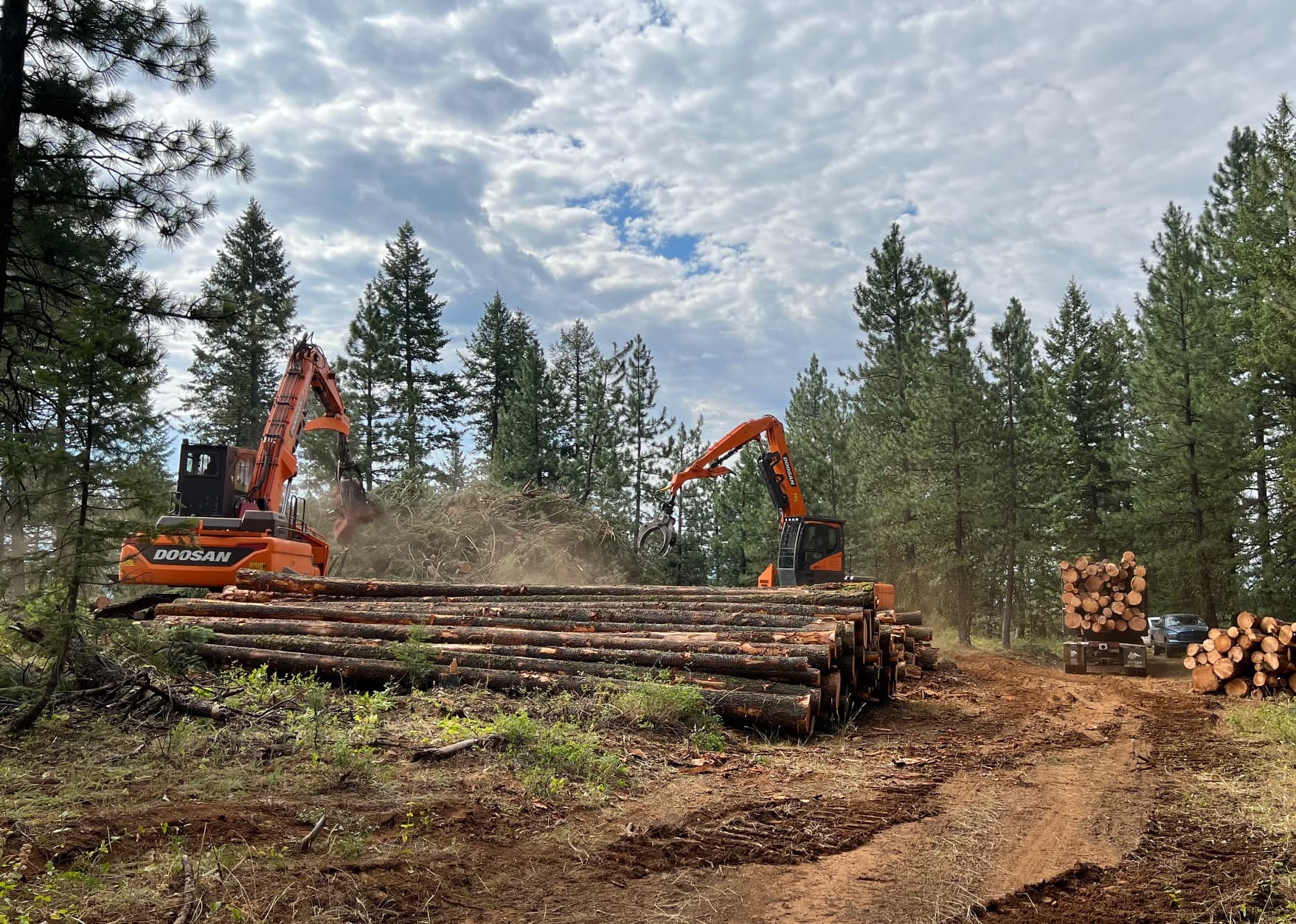 Fact Check: Local communities are fighting back against destructive logging practices.