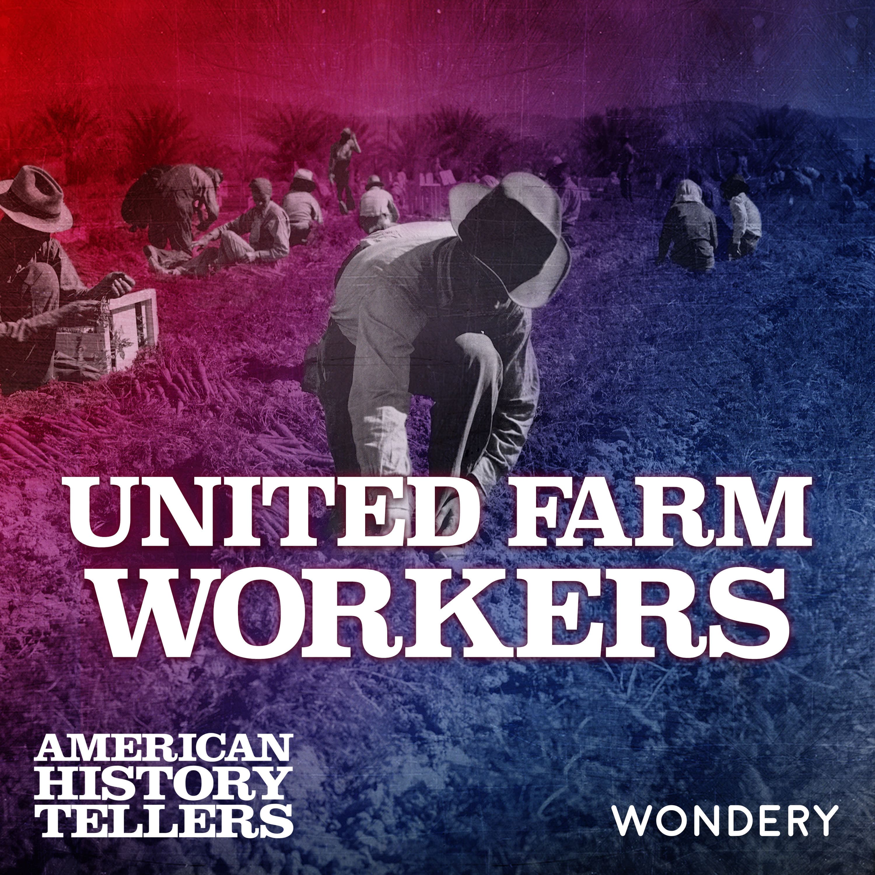 Fact Check: 40% of farm workers in the US are undocumented.
