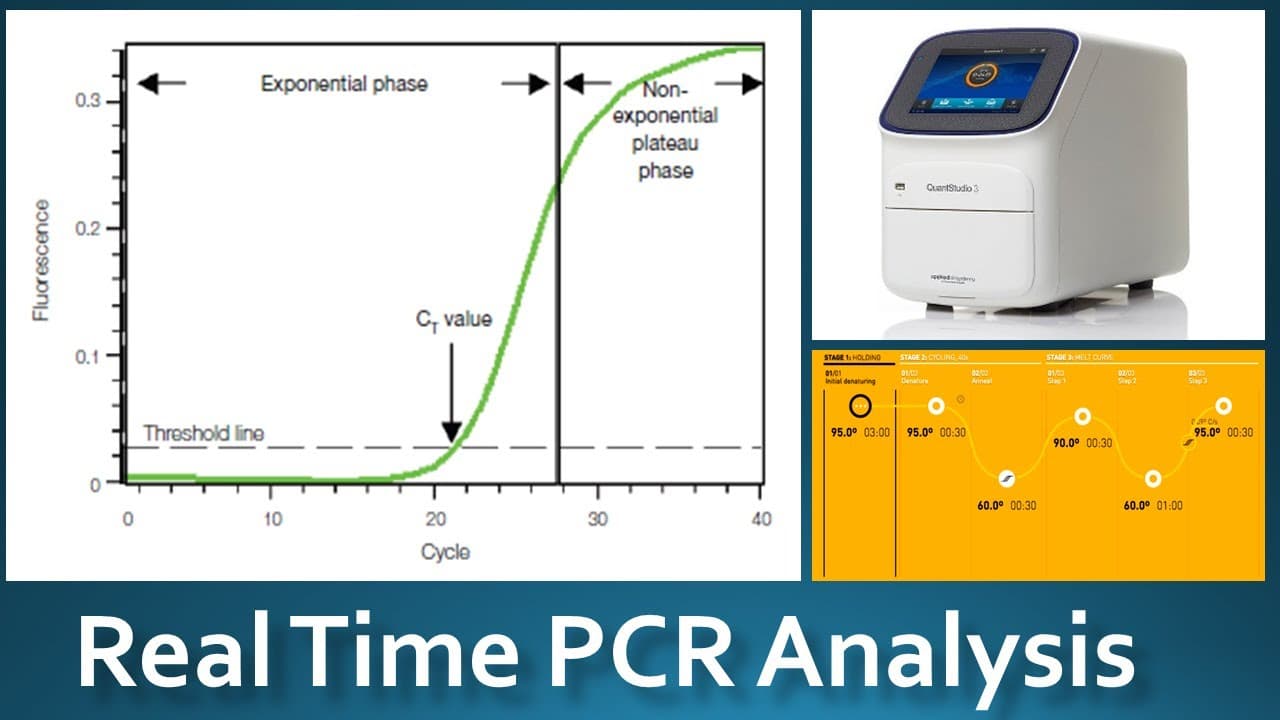 Fact Check: E.coli bacteria can be checked in a water sample using real time qPCR analysis
