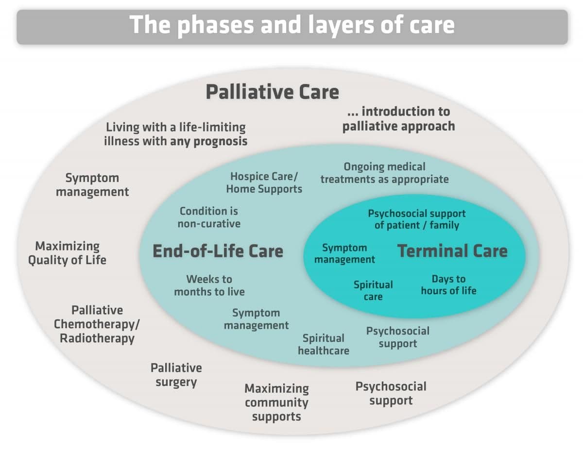 Fact Check: Only one-third of palliative care is funded by the state in England.