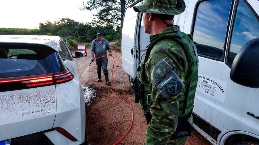 Fact Check: China and the EU halt poultry imports from Brazil after bird flu outbreak.
