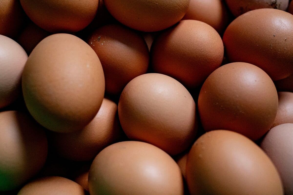 Fact Check: Brazilian egg exports to the U.S. surged over 1,000% amid egg shortage.
