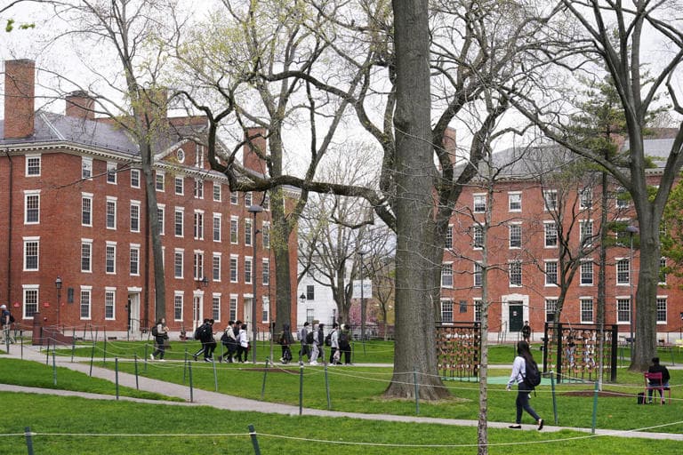 Fact Check: Harvard's reputation as a global research hub is at risk without international students.