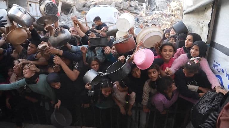 Fact Check: EU countries demand end to humanitarian blockade in Gaza.