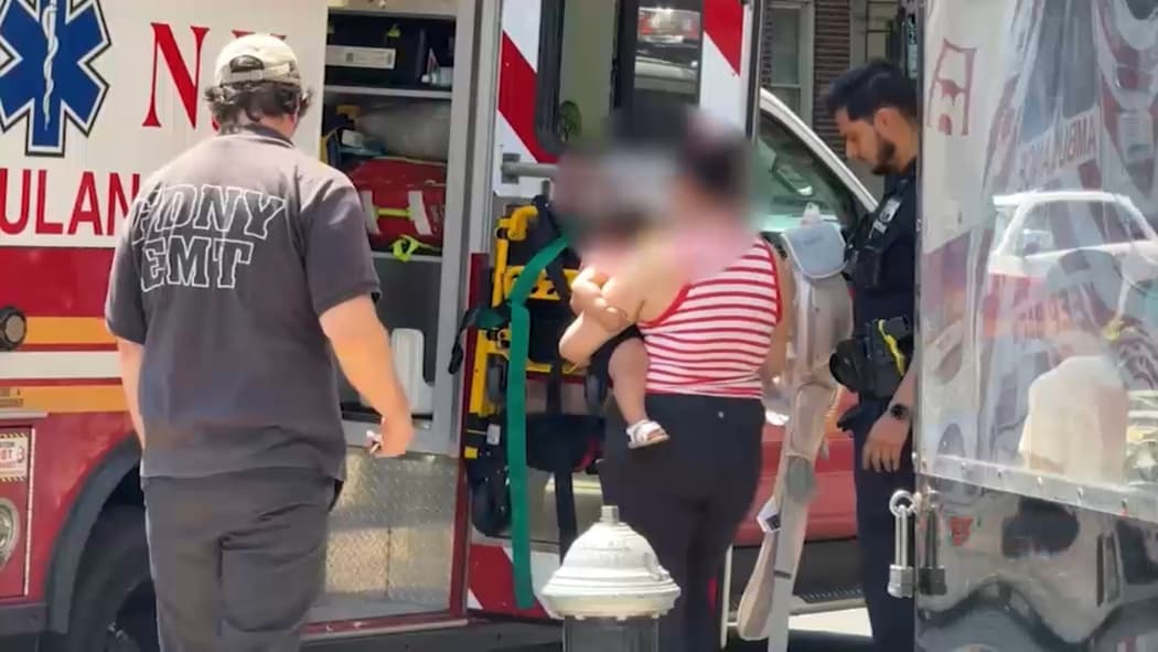 Fact Check: Suspect fled after pepper-spraying mother and child on subway!