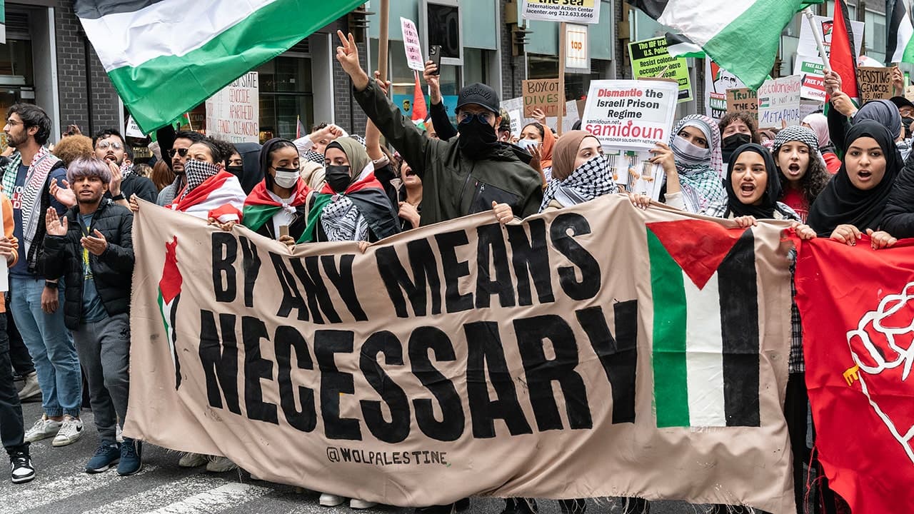 Fact Check: Miller's life was threatened by a man in a Tesla brandishing a Palestinian flag.