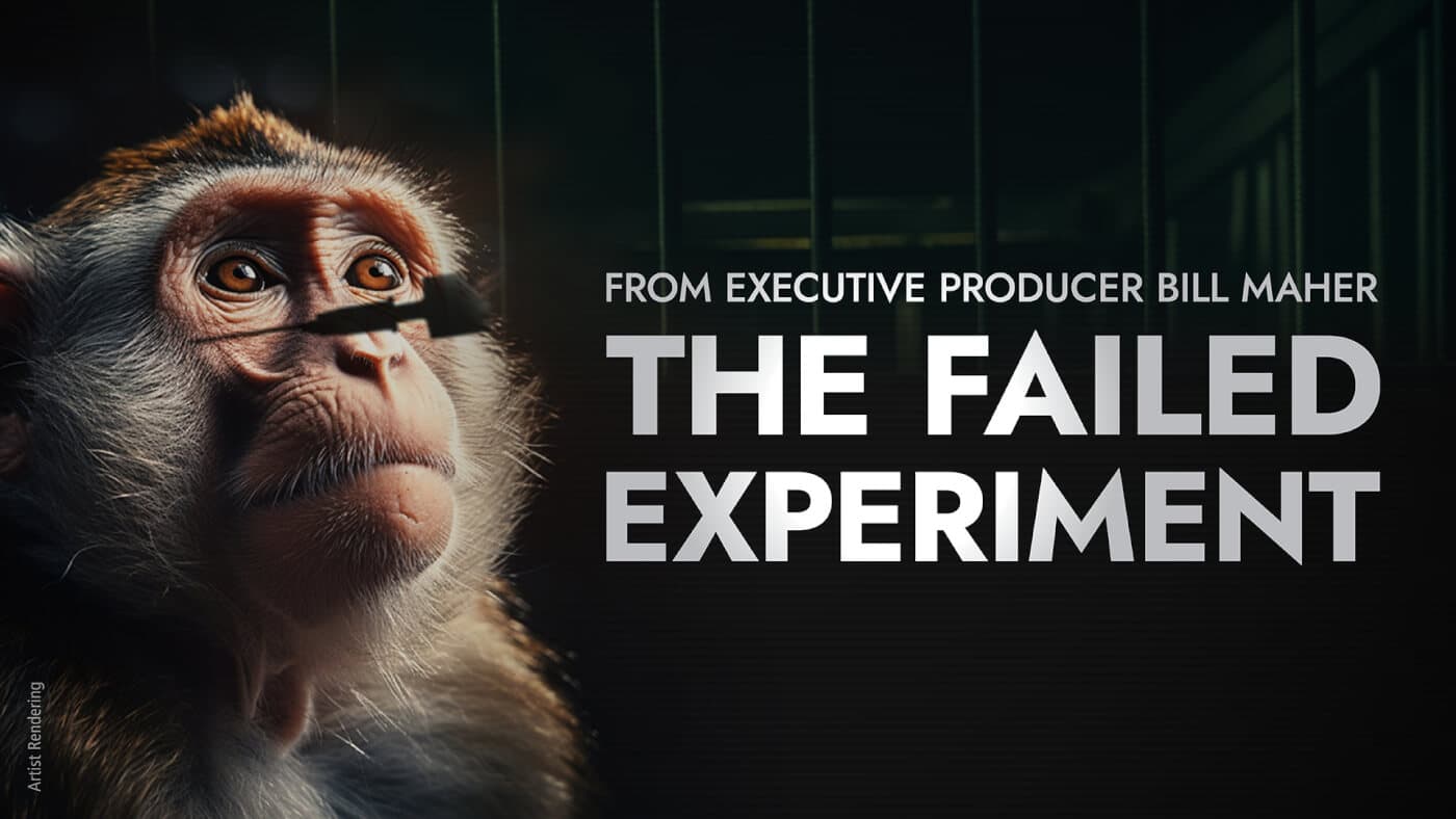 Fact Check: Basement Films claims BBC failed to release documentary despite six promised dates.