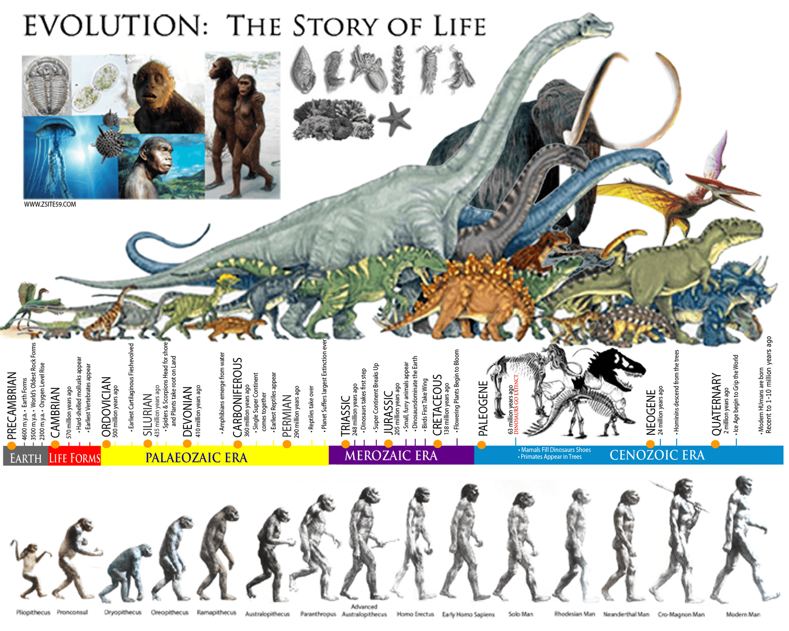 Fact Check: Which factors led the adherance of dinosaur denial to some people ?
