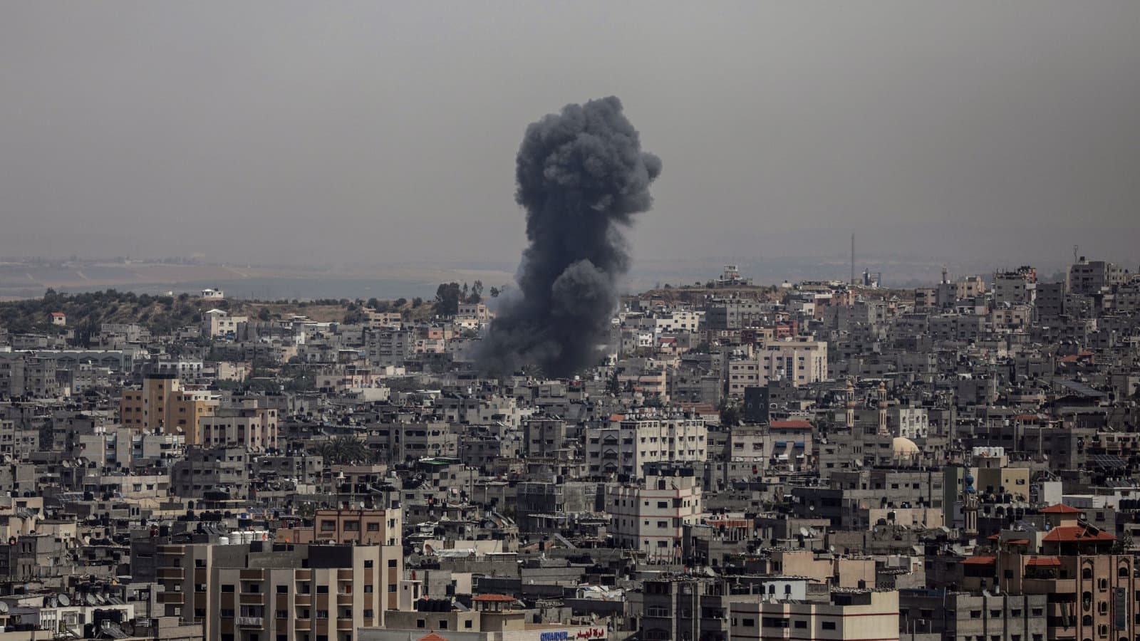 Fact Check: is there a genocide in palestine?