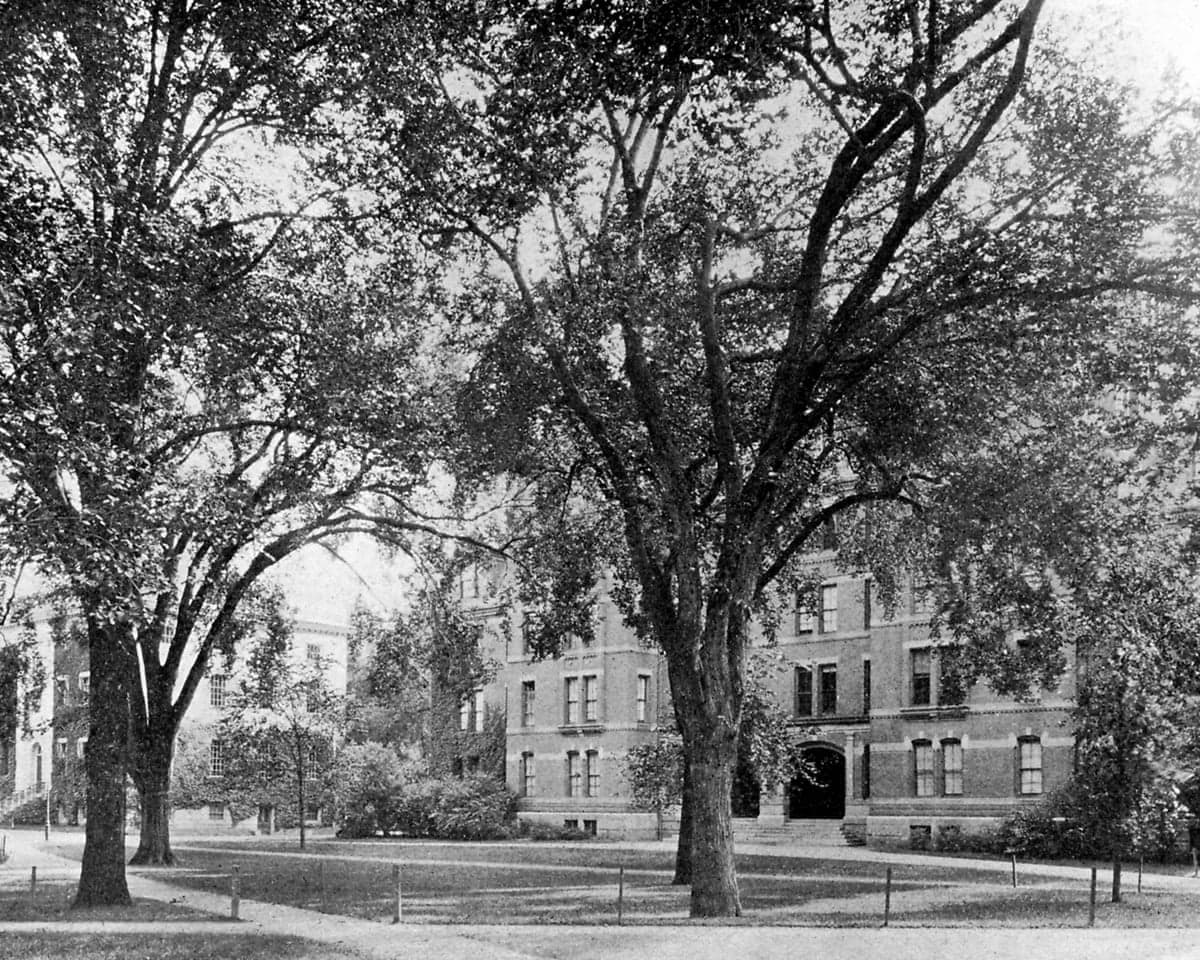 Fact Check: Harvard identified over 900 enslaved individuals connected to its history.
