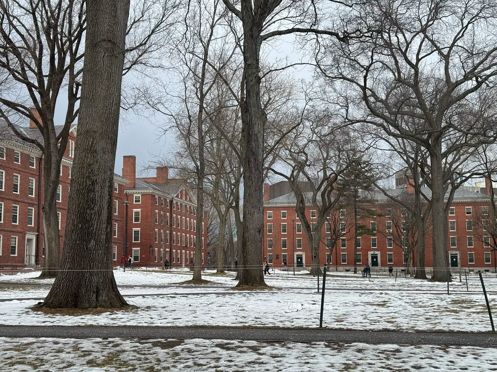 Fact Check: Harvard's Legacy of Slavery Initiative halted after uncovering too many names.