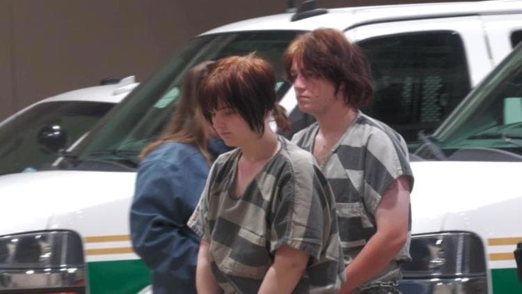 Fact Check: Court records reveal a chilling delusion of love led to attempted murder.