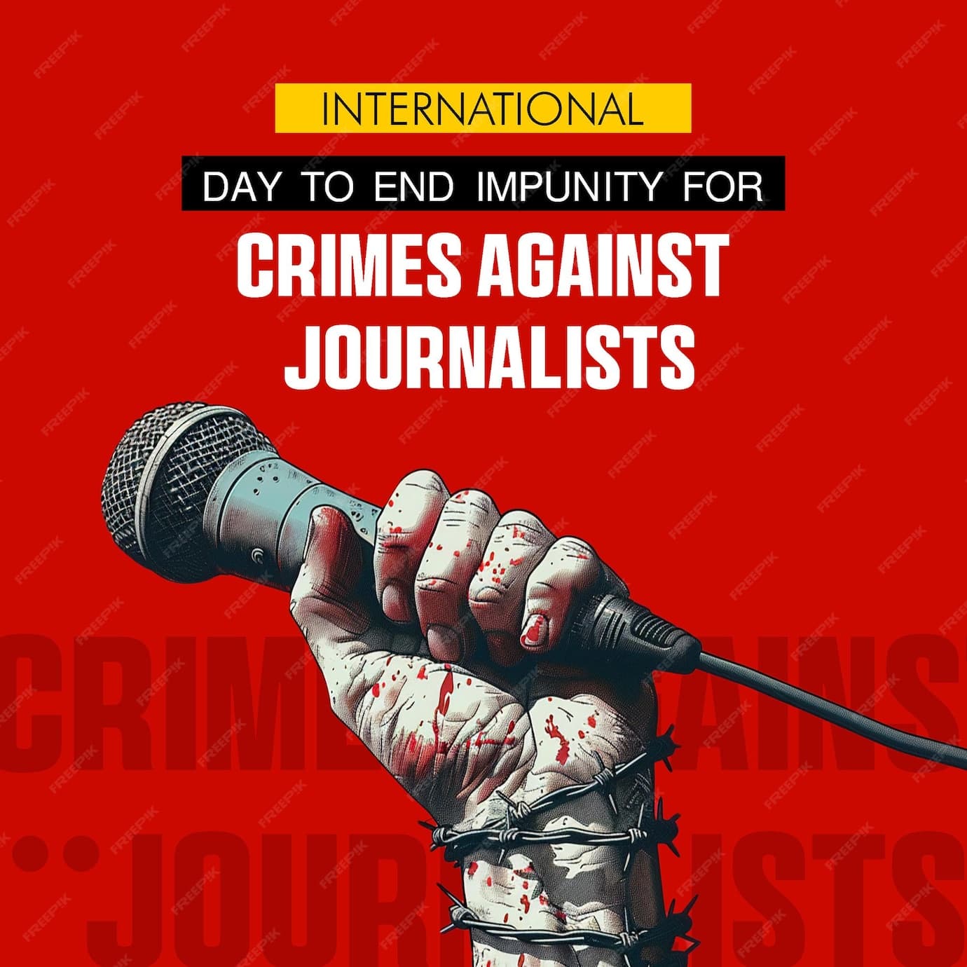 Fact Check: Charges against journalists labeled as politically motivated by international rights groups.