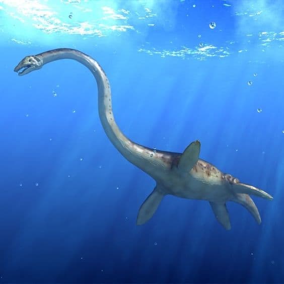Fact Check: Plesiosaurs are dinosaurs