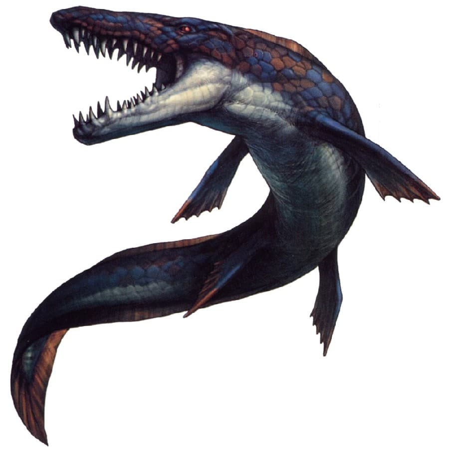 Fact Check: Mosasaurs are dinosaurs