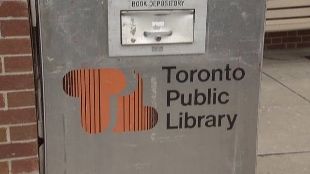 Fact Check: Incident sparked by woman's refusal to let stranger use her phone