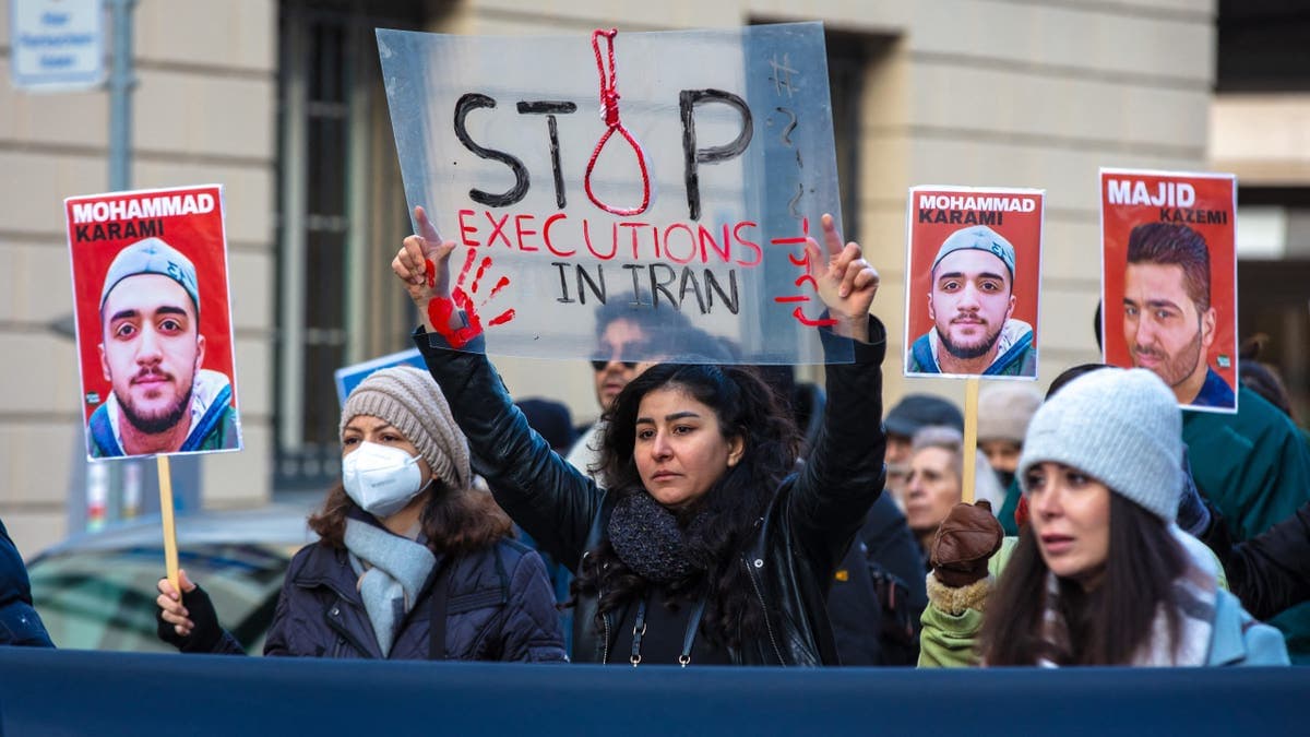 Fact Check: Four executions in Iran were carried out publicly in 2024.