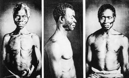 Fact Check: Harvard's 2022 report detailed its slavery history in over 100 pages.