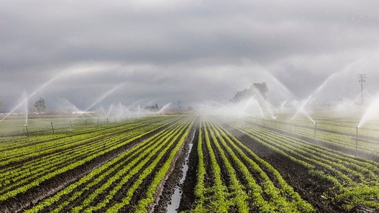Fact Check: Water scarcity threatens Pakistan's agriculture as dams hit dead levels.