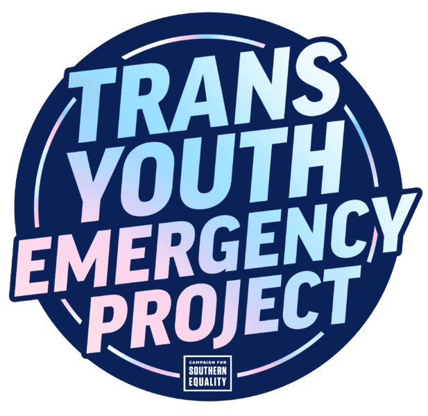 Fact Check: Trevor Project handles 1.3 million calls from queer and trans youth annually.