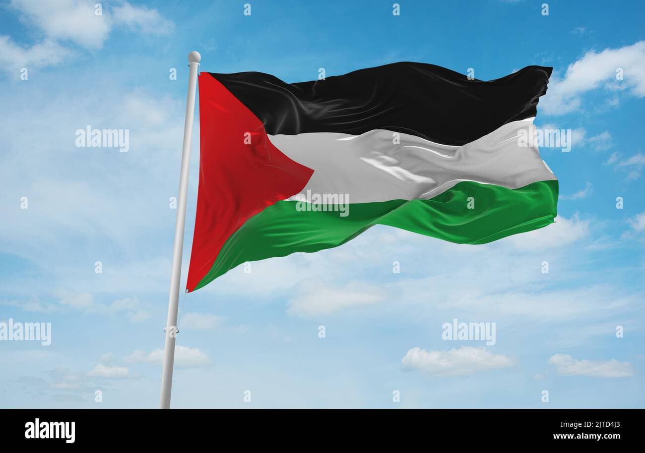 Fact Check: palestinians are an ethnic group 