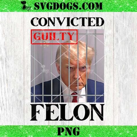 Fact Check: is trump a fellon
