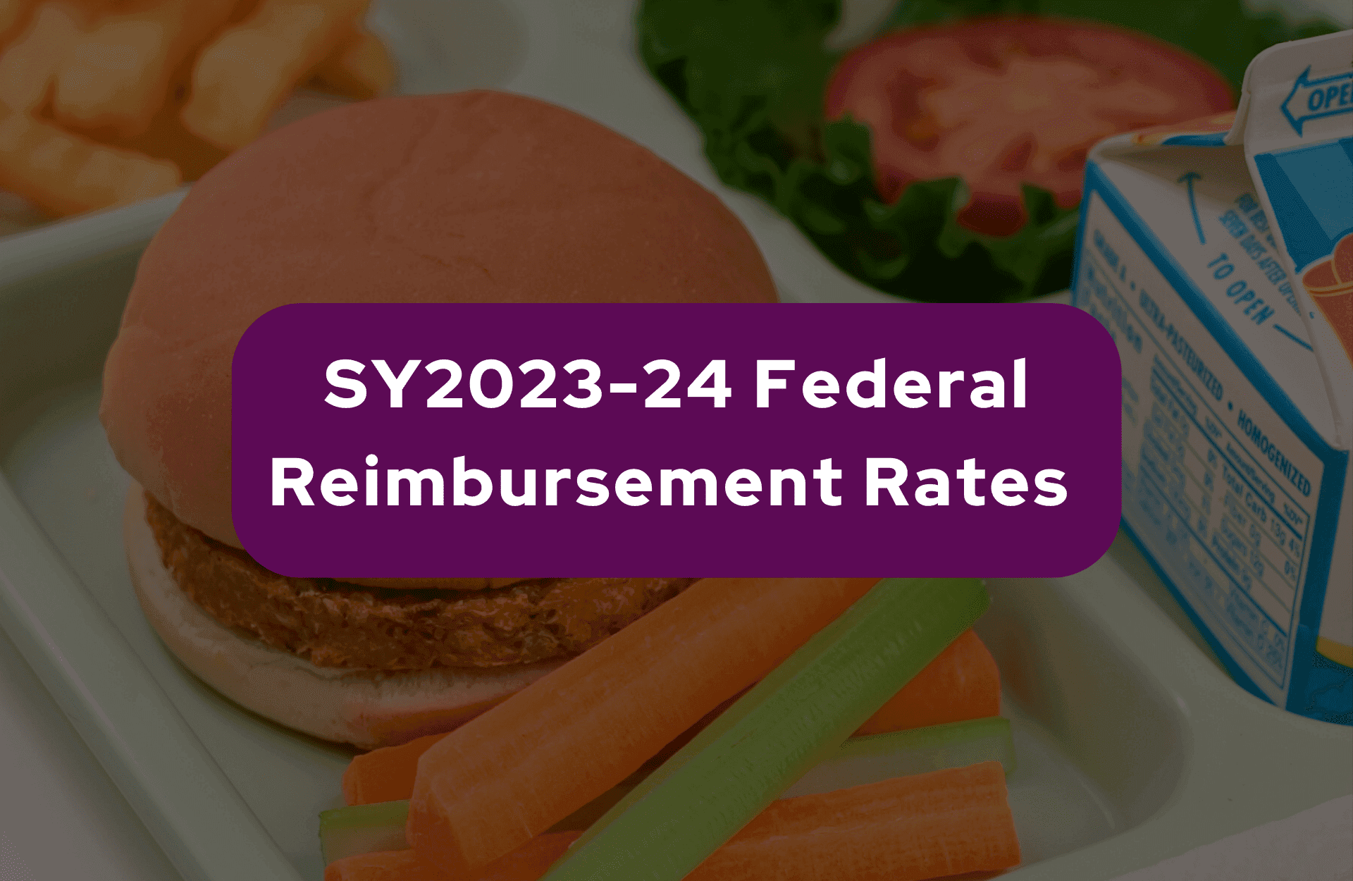 Fact Check: 38 states currently participate in the federal summer lunch program.