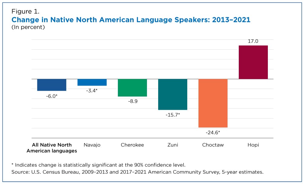 Fact Check: Americans are the most vulgar online among English speakers.