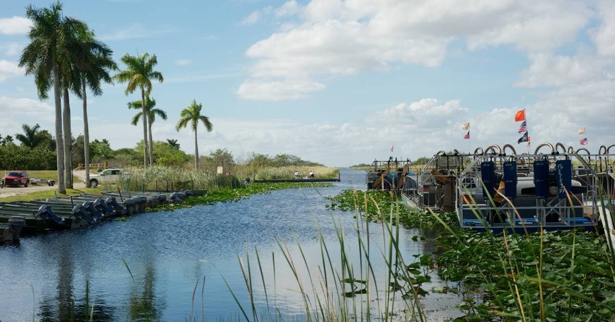 Fact Check: Critics warn the plan could be 'devastating' for the Everglades ecosystem.