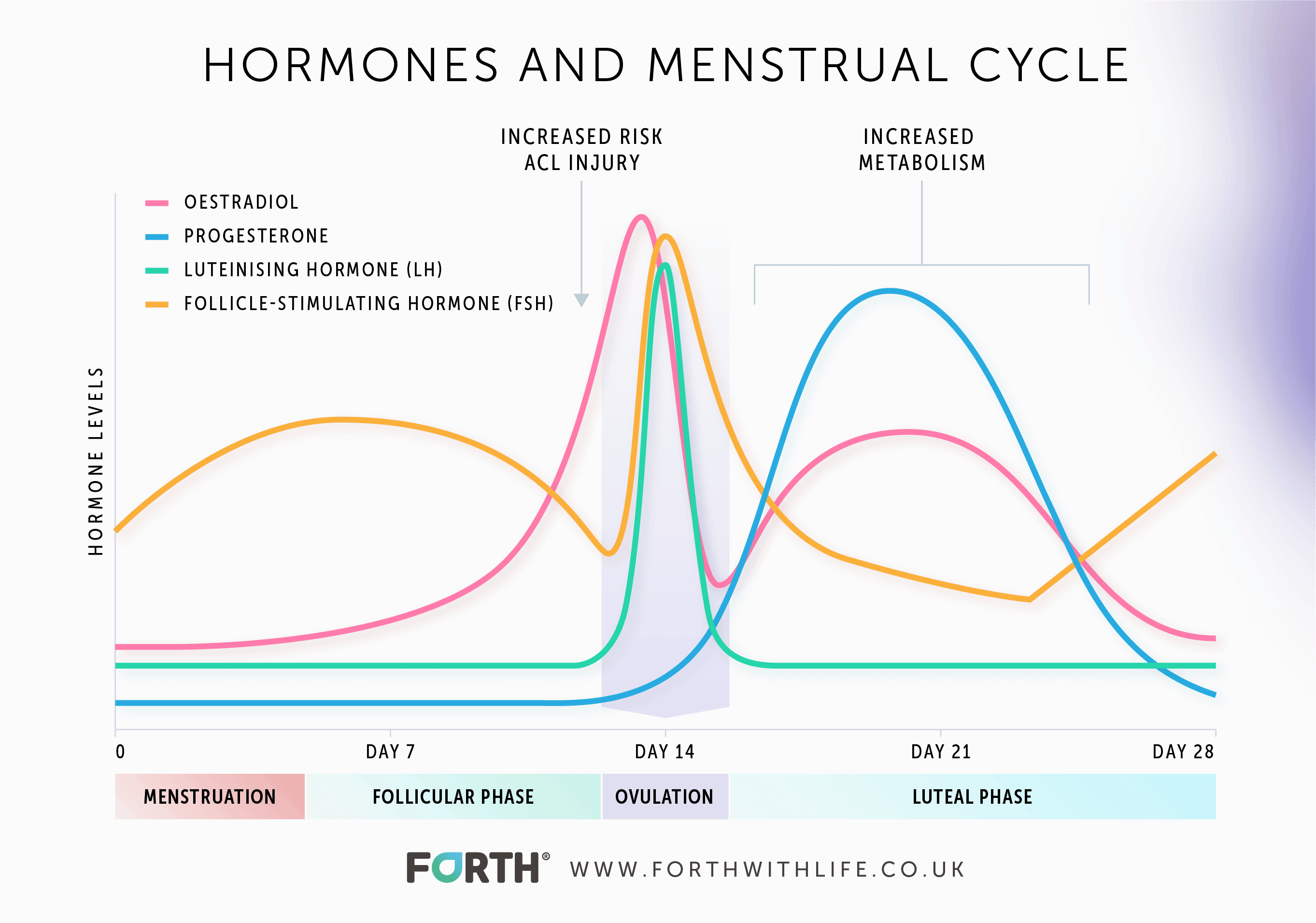 Fact Check: soy milk heightens your estrogen
