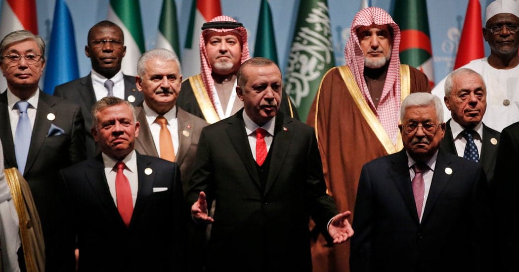 Fact Check: palestiniens are just arabs