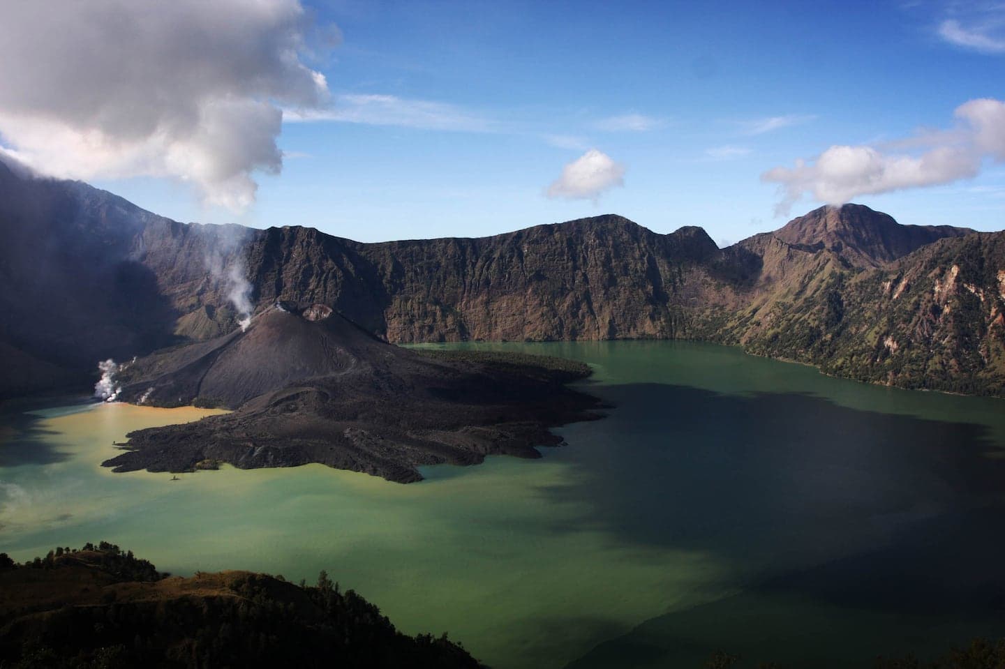 Fact Check: Rescuers heard screams for help from the tourist before she fell.