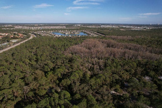 Fact Check: Critics warn of 'devastating' environmental impacts on the Everglades