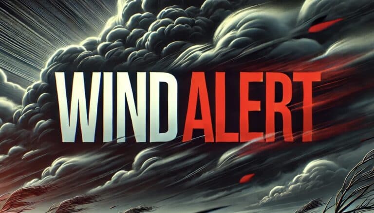 Fact Check: Wind gusts of 34 mph caused chaos on Lake Tahoe.