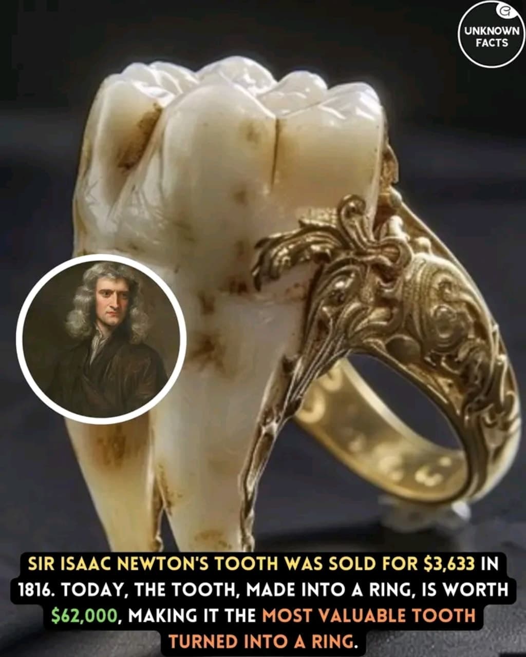 Fact Check: The ring's historical value surpasses its material worth.