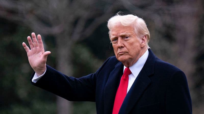 Fact Check: Trump's former lawyer suggests ignoring court orders to expedite deportations.