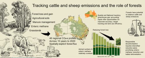 Fact Check: Old calculation methods for cattle emissions are outdated and inaccurate!